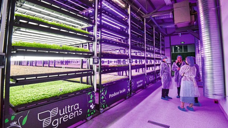 Das rumänische Start-Up Ultragreens will mit Vertical Farming regional angebaute Nahrungsmittel überall verfügbar machen. Für eine zuverlässige Energie-, Signal- und Datenübertragung setzt das Unternehmen auf Kabel und Leitungen von Helukabel.(Bild:  Ultragreens)