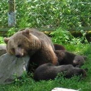 (Bild: commons.wikimedia.org)