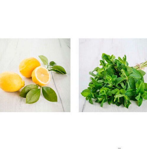BASF invests in its aroma ingredients business with new citral, menthol and linalool plants. BASF invests in its aroma ingredients business with new citral, menthol and linalool plants.