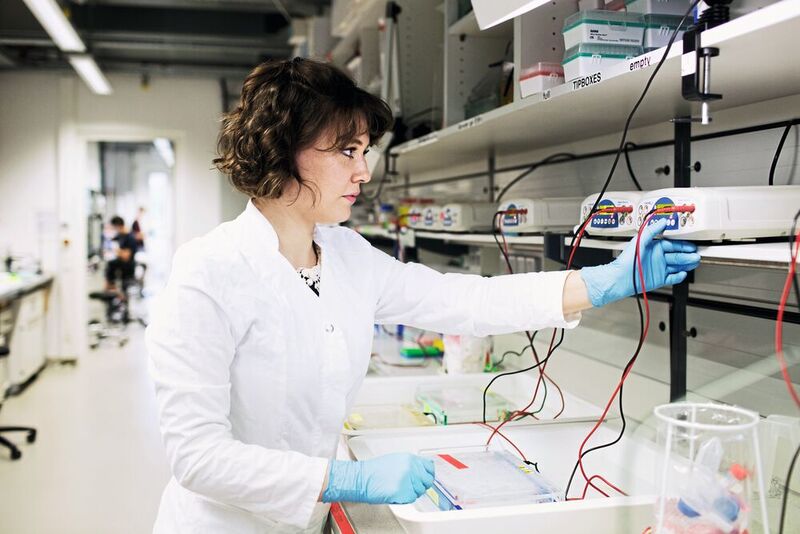 Mitautorin Elena-Marie Willner prüft die Größe der DNA-Nanoschalen mittels Gelelektrophorese. 