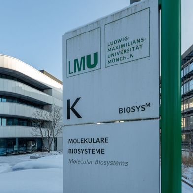 Am 16. September 2026 bemerkte die LMU einen Cyberangriff, bei dem ein IT-System mit Stammdaten von Studierenden gehackt wurde. (Bild: LMU)