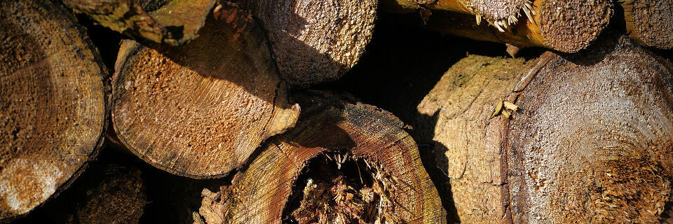 Biomasse mit Abluft aus dem Rechenzentrum trocknen