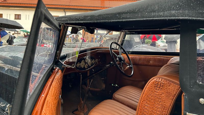 Über die Innenausstattung des Delage D8 zum Teil mit Reptilleder kann man aus Gründen des Geschmacks und nicht zuletzt des Tierschutzes streiten. Fest steht aber, dass sich solche Innenausstattungen historisch nachweisen lassen. (Bild: Peter Diehl)