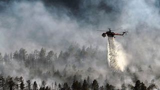 Rauch von den verheerenden Waldbränden in Kanada ist bis nach Europa transportiert worden. (gemeinfrei)