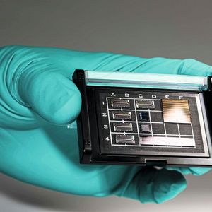 Divers prototypes de puces photoniques.(Source :  CSEM)