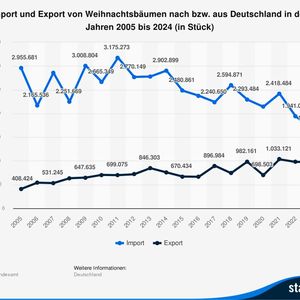 Im Jahr 2024 wurden rund 1,8 Millionen Weihnachtsbäume nach Deutschland eingeführt. Damit übertraf die Importmenge von Weihnachtsbäumen dessen Exportmenge.(Bild:  Statistisches Bundesamt)