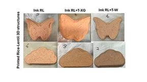 Printed Rice-Lentil 3D structures
 (Source: SUTD)