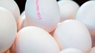 Lebensmittelchemiker der TU Dresdenkönnen mit einem neuen Analyseverfahren über 170 Pestizide in Eiern nachweisen. (gemeinfrei)