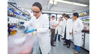 Entdeckten ungewöhnliche Bakterien-Werkzeuge: Dr. Christian Gurgui, Prof. Dr. Jörn Piel, Michael Freeman, Maximilian Helf, Brandon Morinaka und Agustinus Uria im Labor (von links). (Bild: Volker Lannert/Uni Bonn)