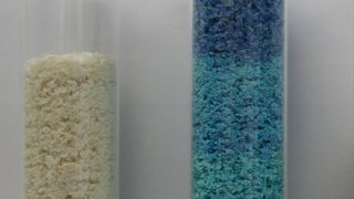 Abtrennung von Schwermetallen mit Chitosan als Flockungsmittel: links reine Chitosanflocken, daneben Chitosanflocken mit gebundenem Kupfer (blau) (M. Mende/IPF Dresden)