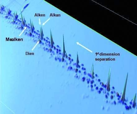 Abb. 2: 2D-Chromatogramm der Polyethylenfragmente in räumlicher Darstellung. Die Bestimmung von Mikrostrukturen, die Aufklärung der monomeren Zusammensetzung sowie die Identifikation von Additiven sind gegenüber Standardchromatogrammen verbessert. (Archiv: Vogel Business Media)
