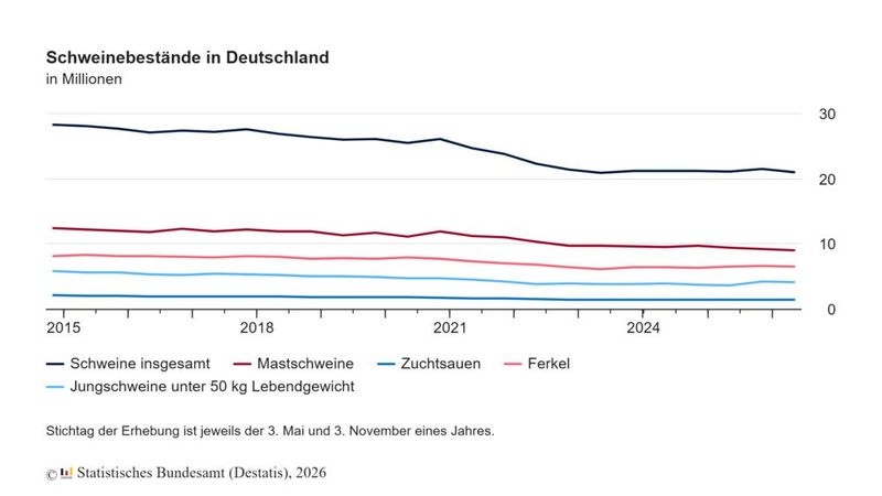 Schweinebestände in Deutschland (Bild: Statistisches Bundesamt (Destatis) )