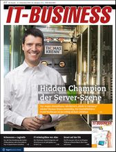 ITB 17/2016 (IT-BUSINESS)