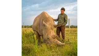 Jan Stejskal vom tschechischen Dvůr Králové Zoo mit Fatu, dem jüngeren der beiden Nashornweibchen (Ami Vitale)