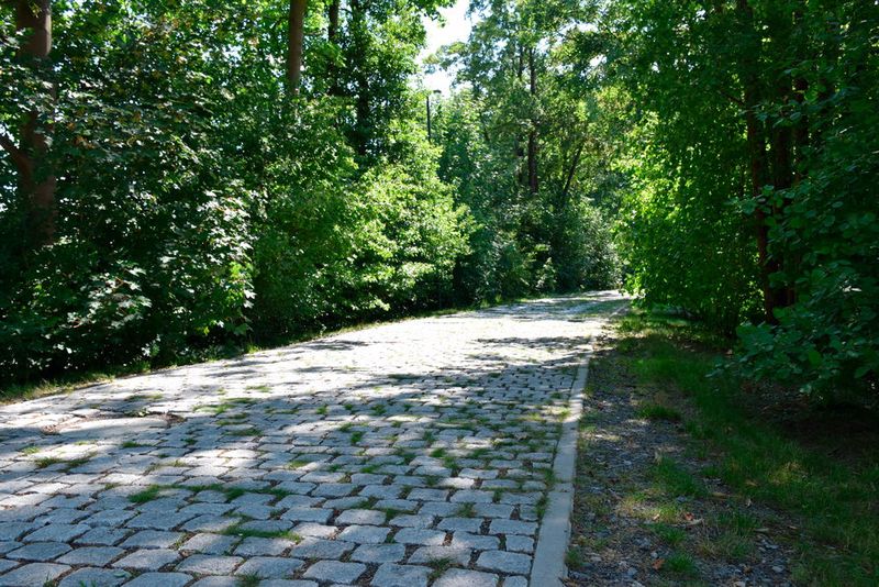 Speziell für die Fehlerdiagnose hat Beresa eine Rüttelstrecke auf dem Betriebsgelände integriert. (Bild: Schweitzer/»kfz-betrieb«)