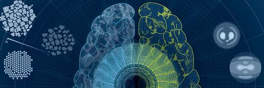 Werkstoffdaten schneller zugänglich zu machen ist das Ziel der „Innovations-Plattform MaterialDigital”.(Bild:  Fraunhofer IWM)