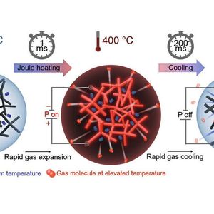 Fabian Schütt / Materials Today (Bild:  Julia Siekmann, Uni Kiel)