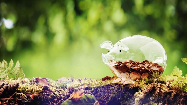 Mehr Nachhaltigkeit muss nicht immer mit höheren Kosten einher gehen. Oft lassen sich mit einer Lösung beide Ziele erreichen. (Bild:  exclusive-design - stock.adobe.com)