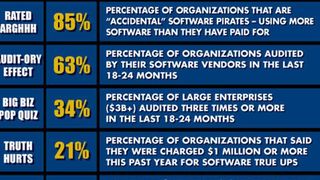 Felxera Software ermittelte in einer Studie, dass 85 Prozent der befragten Unternehmen „aus Versehen“ zu Softwarepiraten wurden. (Bild: Flexera Software)