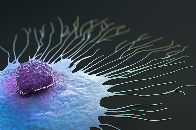 The study involved analysing the tissue and treatment history of almost 13,000 patients. (Getty Images)