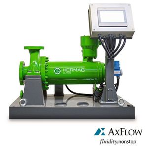 Hermetische Spaltrohrmotorpumpe nach API 685