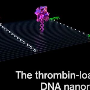 (ASU Biodesign Institute)