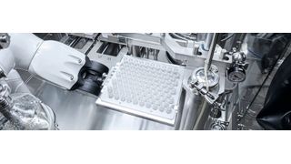 Füllvorgang mit einer Schlauchpumpe. (Bild: stefankiefer.com/Steriline)