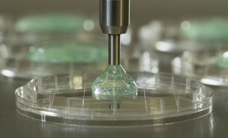 Lead_Image_Pharma_Profile ()