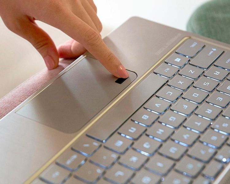 Im Touchpad ist ein Fingerprint-Leser mit Windows-Hello-Unterstützung eingebaut. (MSI)