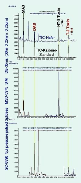 Abb. 2 Haferprobe gegen Kalibrierstandard als TIC (oben) bzw. Target-Ionen der Zielanalyten und isotopenmarkierten internen Standards in der Haferprobe (Mitte/unten). (Archiv: Vogel Business Media)