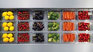 Macht Appetit auf Frisches: Die Verpackungslösungen, die MULTIVAC zur FRUIT LOGISTICA 2017 in Berlin präsentieren wird, sind einfach zu bedienen und verfügen über das wegweisende MULITVAC Hygienic Design. (MULTIVAC)