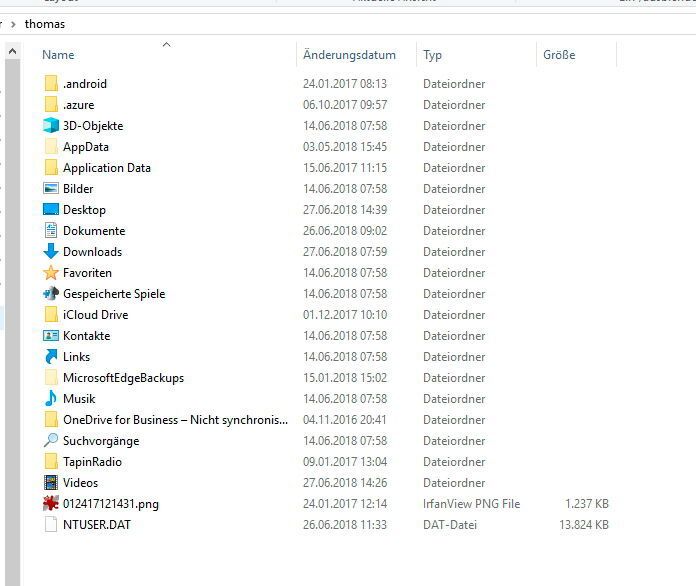 Ein Benutzerprofil besteht aus verschiedenen Verzeichnissen. (Joos)