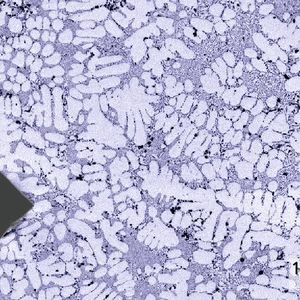 Lichtmikroskopische Aufnahme eines Aluminiumgussgefüges mit dem Eindruck eines Stempels zur Ermittlung der sogenannten Vickershärte (schwarze Raute).