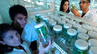 Die biopharmazeutische Industrie ist nach wie vor auf dem Vormarsch. (gemeinfrei)