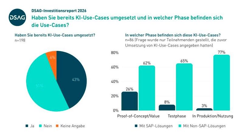 Die Umsetzung von KI-Use-Cases. (Bild: DSAG)