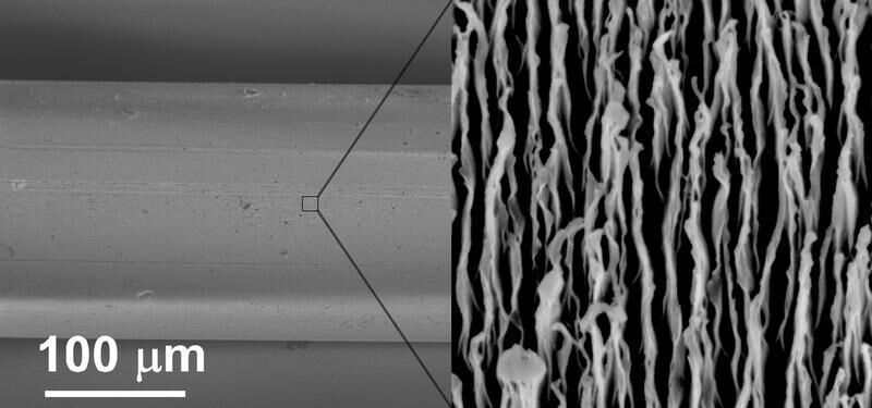 Nanofasern auf Nahtmaterial  (Bild: Max-Planck-Institut für Polymerforschung)