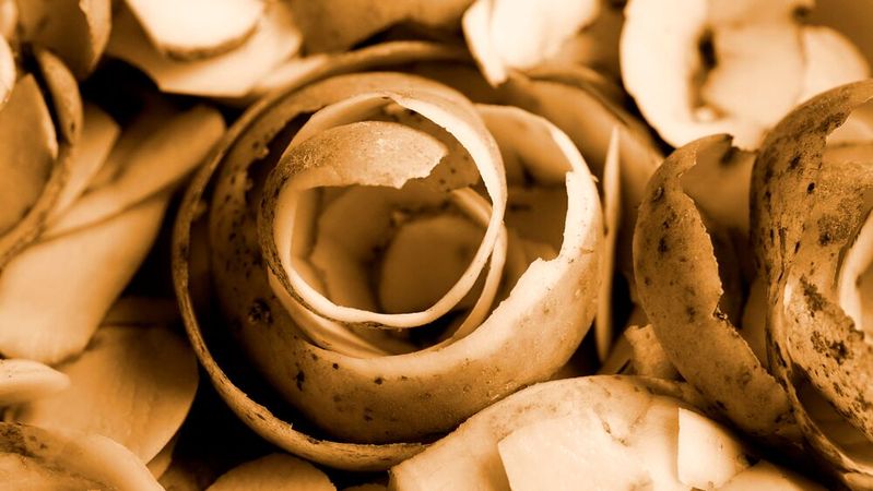 Mit „grüner Chemie“ entwickeln vier Nachwuchsforschende an der TU Freiberg innovative Verfahren, um landwirtschaftliche Reststoffe in Membranen und Beschichtungen umzuwandeln.(Bild:  frei lizenziert /  Pixabay)