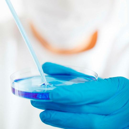 Das Deutsche Netzwerk gegen Antimikrobielle Resistenzen (DNAMR) hat sich die Entwicklung von neuen, resistenzbrechenden Antibiotika auf die Fahnen geschrieben. Das Deutsche Netzwerk gegen Antimikrobielle Resistenzen (DNAMR) hat sich die Entwicklung von neuen, resistenzbrechenden Antibiotika auf die Fahnen geschrieben.