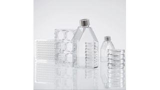 Die Zellkultur-Consumables von Eppendorf bestehen aus ultraklarem, fabrikneuem Polystyrol. (Bild: Eppendorf)