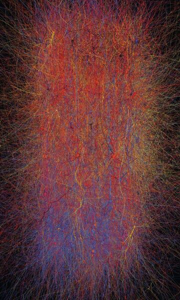 Simulation de l'activité de l'ensemble de la colonne corticale. (Image: EPFL/Blue Brain Project.)