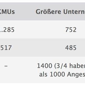 Abbildung 1: Kein Report ist so KMU-fokusiert wie die Paessler-Umfrage.
