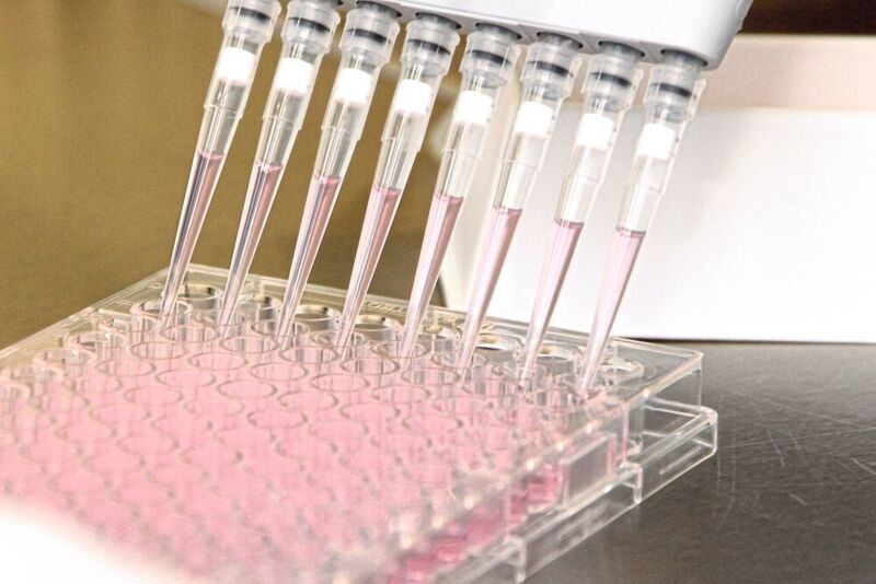 Abb. 1: Kultivierung von Klonen in 96-Well-Platten während der Zelllinien-Entwicklung (UGA Biopharma)