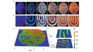 Sechs unterschiedliche künstliche Fingerabdruckmuster, versehen mit verschiedenen Eigenschaften, um individuelle Fluoreszenz und Topographie sichtbar zu machen. Die Syntheseparameter wurden aus der Nanofilm-Bibliothek abgeleitet.   (Bild: Max-Planck-Institut für Kolloid- und Grenzflächenforschung / Felix Löffler)