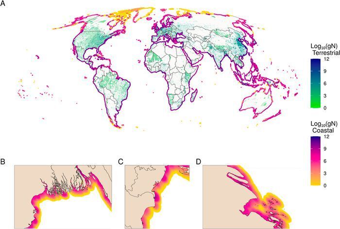 A) Global map of the terrestrial sources (green to blue) and coastal diffusion of inputs (yellow to purple) of total wastewater N, measured in log10(gN) in both. Coastal plumes have been buffered to line segments to exaggerate patterns to be visible at the global scale. Insets show zoomed-in views of the B) Ganges, C) Danube, and D) Chang Jiang (Yangtze) Rivers, showing wastewater plumes at high resolution. (CC BY 4.0)