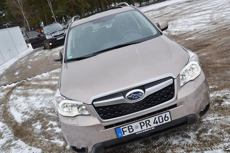 Der neue Forester kommt am 23. März zu den Subaru-Händlern. (Foto: Michel)