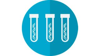 Their approach not only improves the accuracy of heart disease risk prediction but also offers a comprehensive framework for genetic testing that, according to the scientists, could be applied to anything, including other complex, genetically influenced diseases like cancer, Parkinson’s disease and autism. (Source: Pixabay)