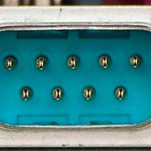 (on Afrank99, via Wikipedia / CC BY-SA)