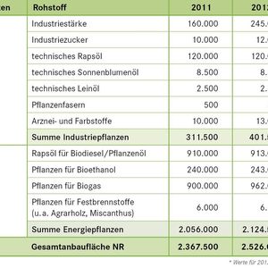 Anbau nachwachsender Rohstoffe in Deutschland (ha)