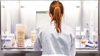 Die Erforschung von Pockenviren soll helfen, zukünftige Zoonosen besser abzuwehren (Symbolbild). (Bild: kasto - stock.adobe.com)