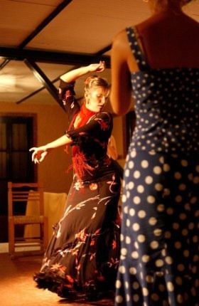 Spanisches Temperament: Mit feurigem Flamenco begeisterte die Tanzgruppe beim Galaabend. (Archiv: Vogel Business Media)